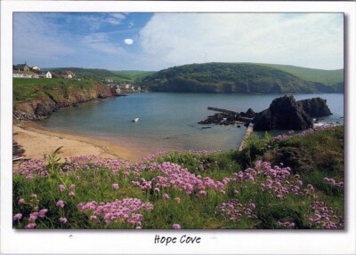 AK Hope Cove Wasser Blume Pflanze Wolkenhimmel Naturlandschaft Gras AA06894