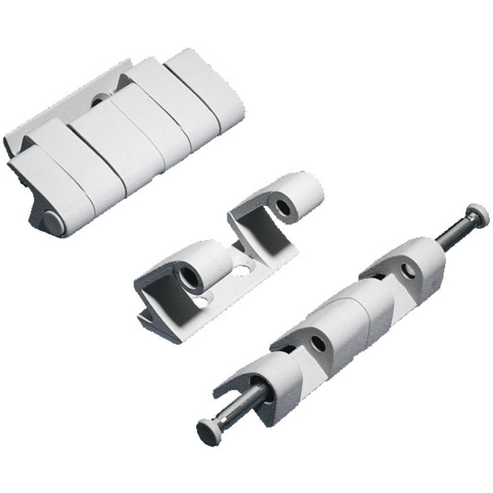 Rittal TS8 8800.190 Cerniera Zinco pressofuso Grigio (RAL 7035) 4 pz.