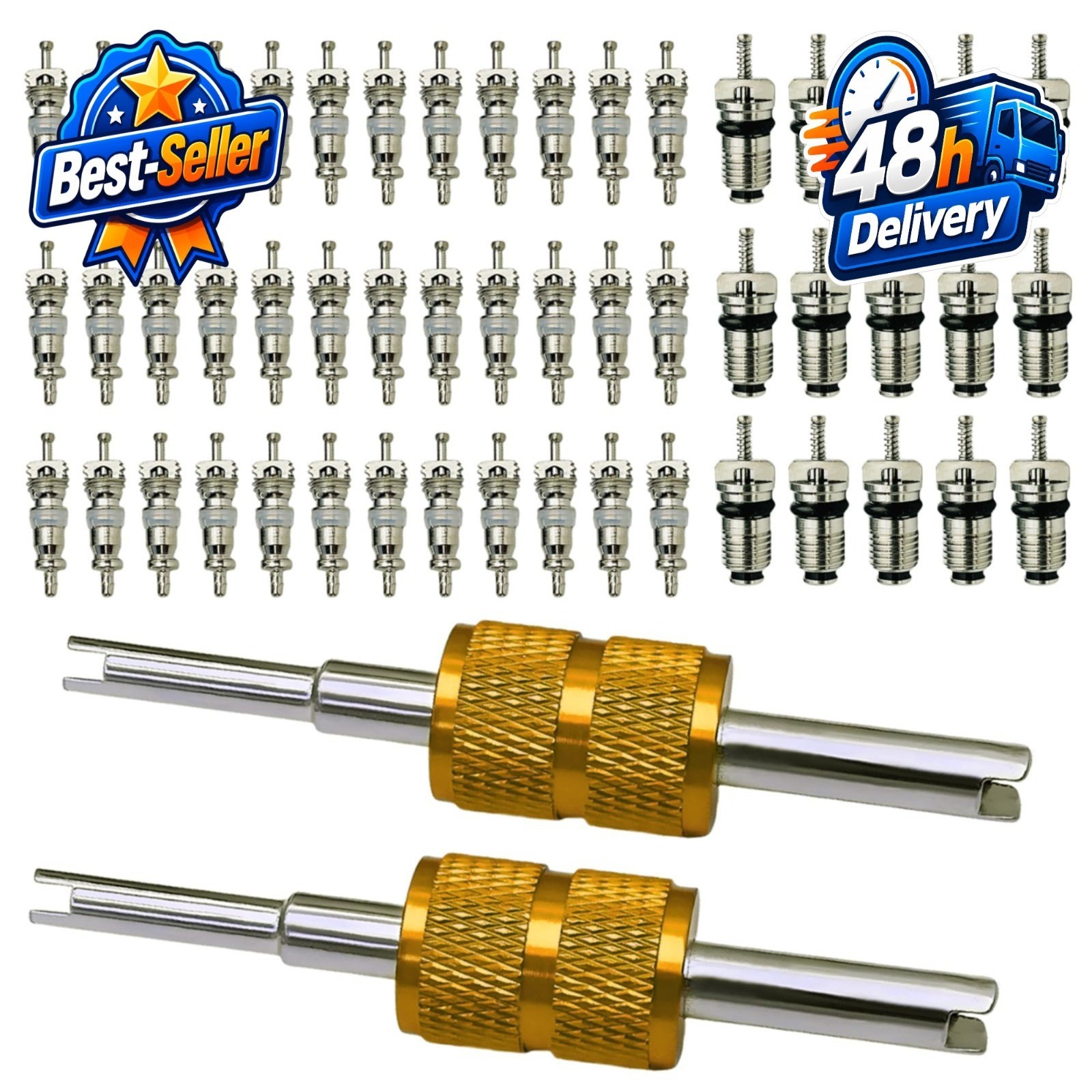 52Pcs Air Conditioning Valve Core Kit for R12 R134a with Tools