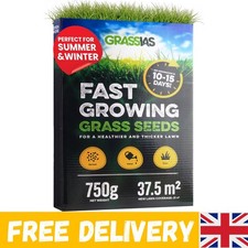 Fast Growing Grass Seed – 750g  Quality Lawn Seed For Overseeding & New Lawns – 19.99 per kilo