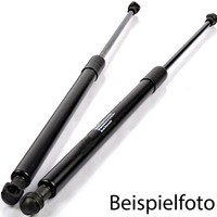 2X NTY AE-SE-009 Gasfeder DäMpfer Heckklappe 455N FüR Seat