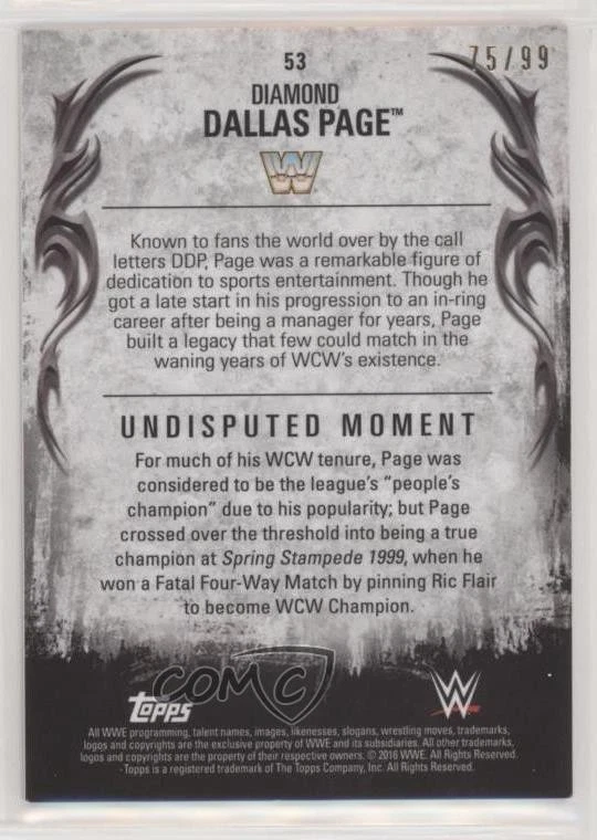 2016 WWE Undisputed Tag Team Championship Bronze /99 Diamond Dallas Page Patch - Image 2 of 2