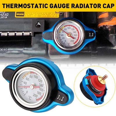 #ad #ad 1.1 Bar Thermostatic Cap Radiator 13 PSI Pressure with Rating Temperature Gauge $14.99