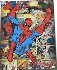 Tobey Maguire Signed Autographed Comic Canvas The Amazing Spider-Man BAS AE16224