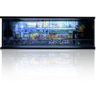 Bild 140 von 142