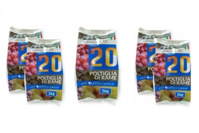 MANICA POLTI 20 POLTIGLIA RAME BORDOLESE SOLFATO RAME FUNGICIDA BIO BORO 2 KG - Foto 2