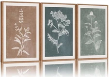 Neutral Botanical Framed Canvas Wall Art Set, Vintage Floral Wall Decor, Boho...