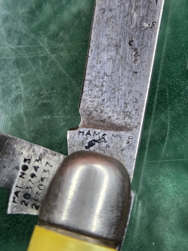 De colección. Cuchillo Hammer Brand Black Hills c1938-41 Imperial EE. UU. Mango de concha Prov. RI Foto 2 de 4