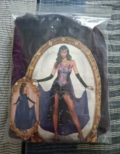 Seductive Sorceress Women's Costume Size XL Shimmering Purple & Blue