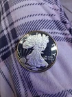 2000 American Eagle Uncirculated 1 oz .999 Silver UNC proof