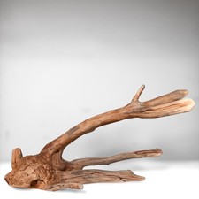 19" Manzanita Driftwood for Aquascaping, Aquarium Driftwood, Home Décor