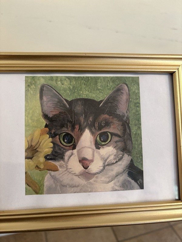 Cat print in gold wood frame 