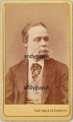 CDV SCHWEDISCHER KÜNSTLER EGRON LUNDGREN ANTIKES FOTO AUTOR STOCKHOLM SCHWEDEN