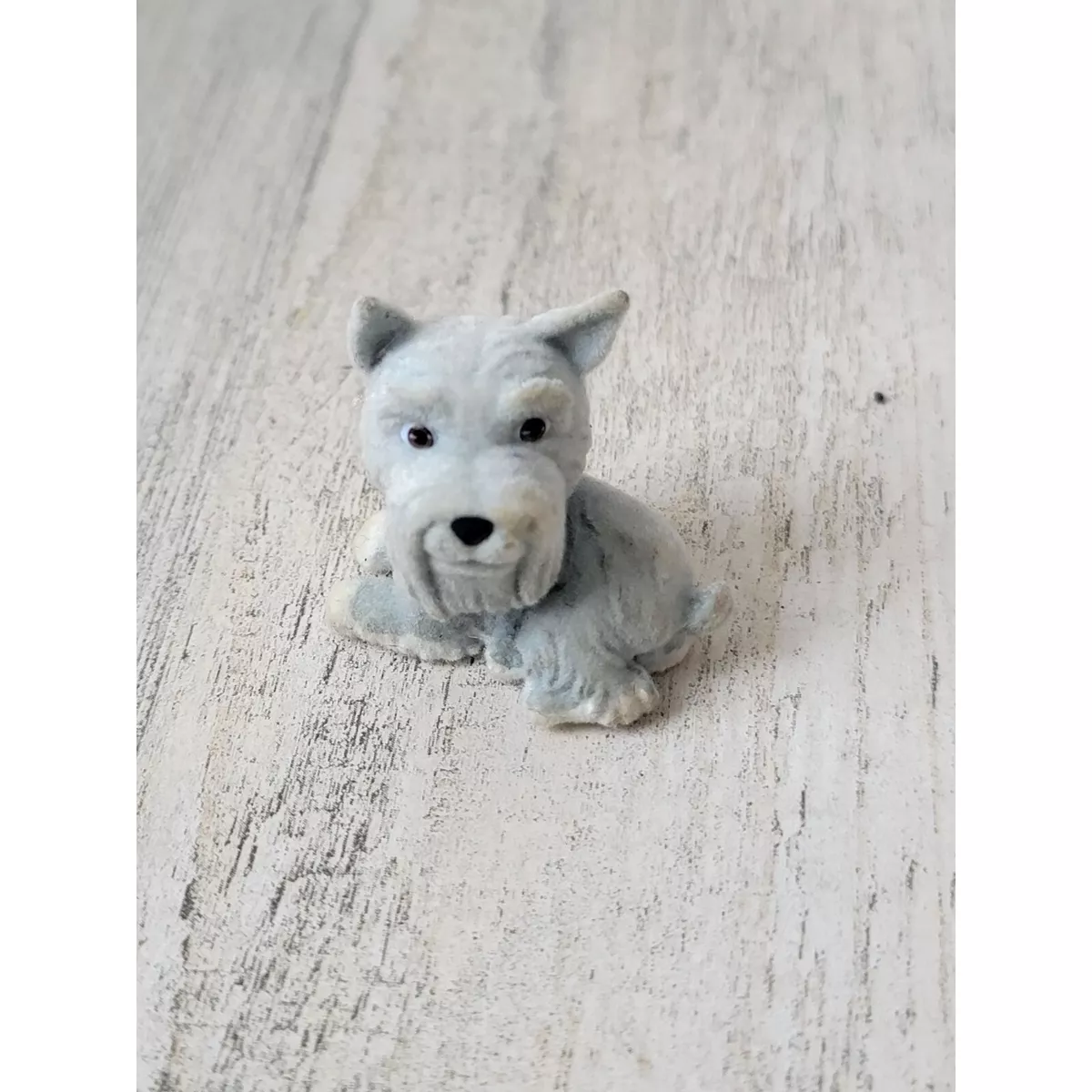 Gray short hair dog 2025