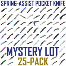 25-Pack Mystery Spring-Assist Folding Pocket Knife Lot – Random EDC Blades - NEW