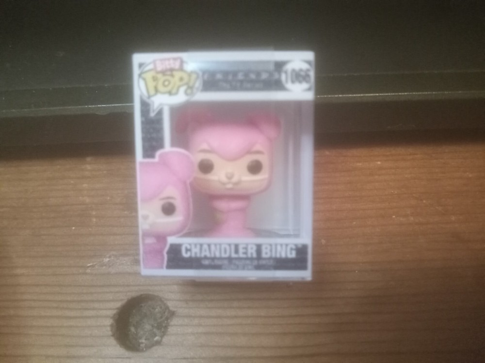 Friends Funko Bitty Pop! Mini Figure #1066 Chandler Bing