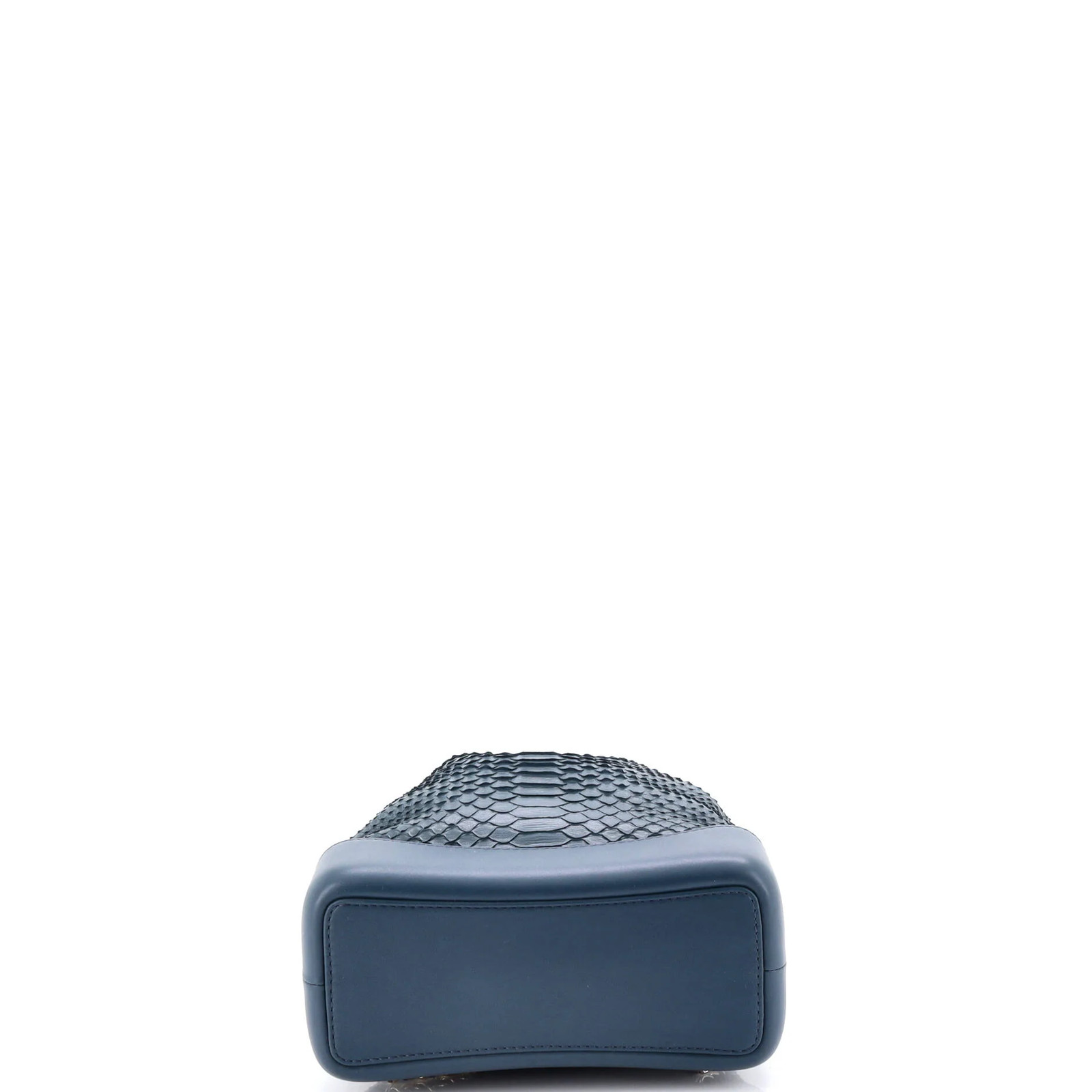 Chanel Gabrielle Backpack Python Small - image 4