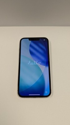 AS-IS Apple iPhone 13 Pro - 256 GB - Graphite (Unlocked)