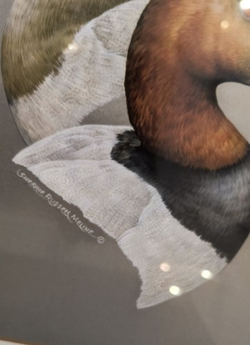 Sherrie Russell Meline set di due stampe d'anatra vintage con cornice opaca - Foto 5 di 9