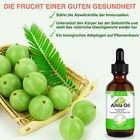 Bild 4 von 15