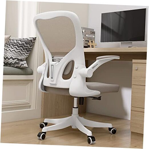 Desk Computer Chairs - Ergonomic with Lumbar Support & Flip-up Arms M Beige