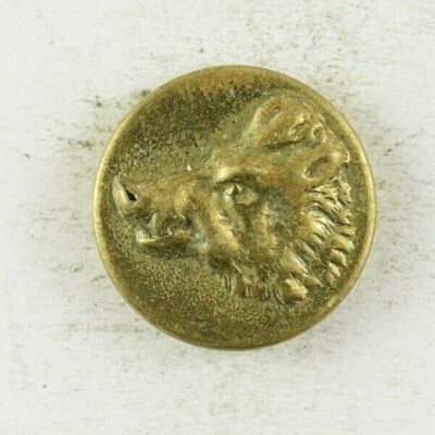 Buttons - Wild Boar