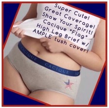 NWT Lane Bryant CACIQUE Panties PLUS SIZE High Leg Brief Underwear FLAG 18 20