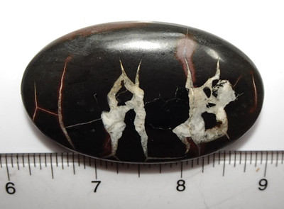 Healing Shield - Septaria Palmstone Morocco sc1063
