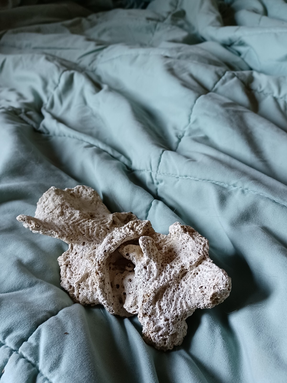 aquarium decorations eBay