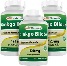 3 Pack Best Naturals Ginkgo Biloba 120 mg 120 Capsules