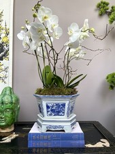 Traditional hexagon Orchid plant pot 2 Pcs Chinese blue white porcelain planter