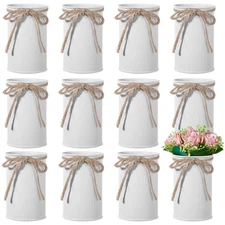 12 Pcs Metal Vases, White Farmhouse Style Galvanized Mini Decorative Vases fo...