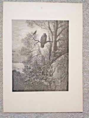 Der Adler und die Elster, Gustave Dore - antiker Druck - 1868