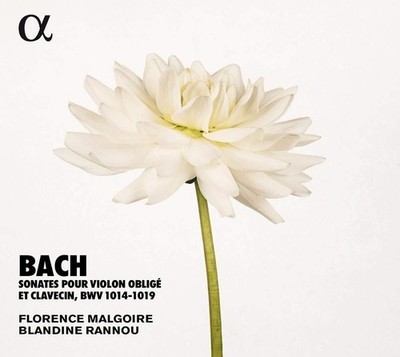 Audio Cd Neu - Johann Sebastian Bach - Sonates Pour Violon Oblige' Et Cembacin