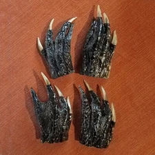 4 Alligator Feet Set, Taxidermy Gator Claw, Oddities, Alligator Mississippiensis