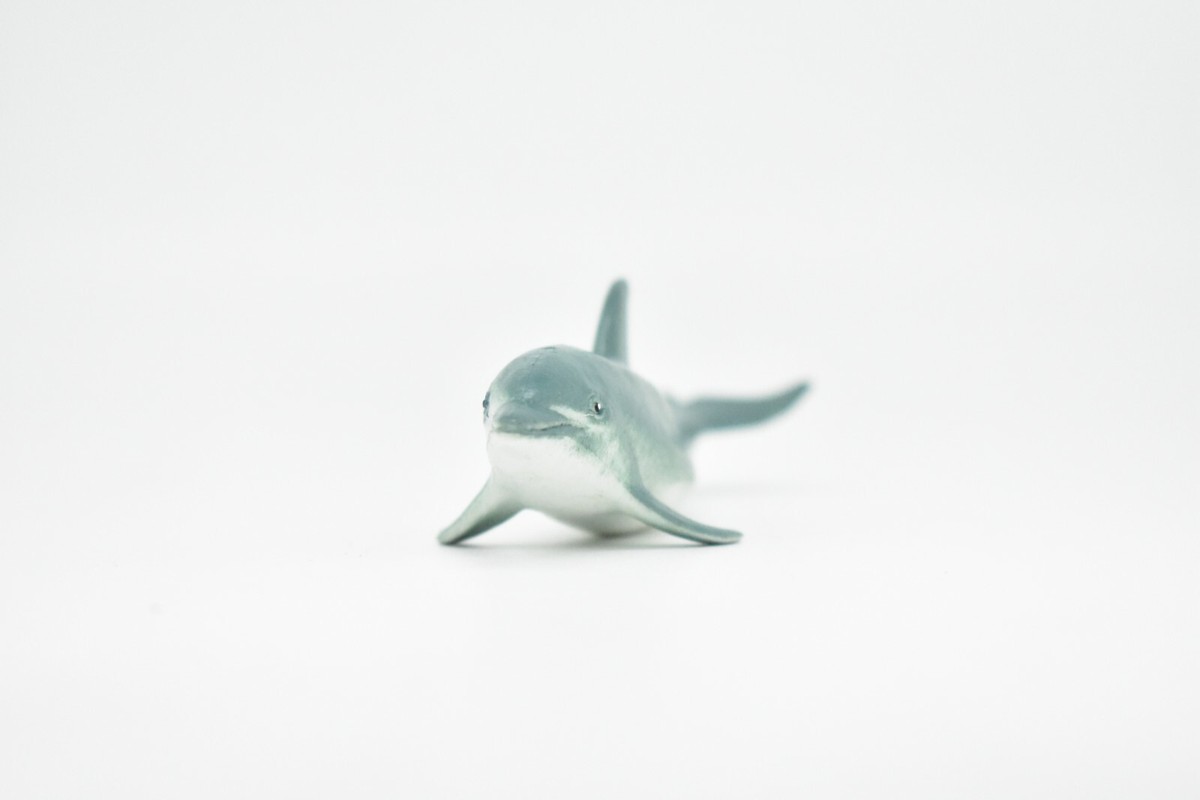 Dolphin様 リクエスト 5点 まとめ商品 Amazon.com: Safari Ltd. Bottlenose Dolphin Figurine