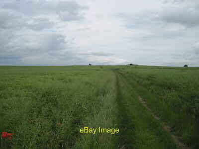 Photo 6x4 Bridleway to Long Thwaite Wood Throapham Through fields of Oil  c2012