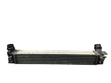 Ladeluftkühler für RENAULT SCÉNIC III (JZ0/1) 1.2 TCE 144961285R