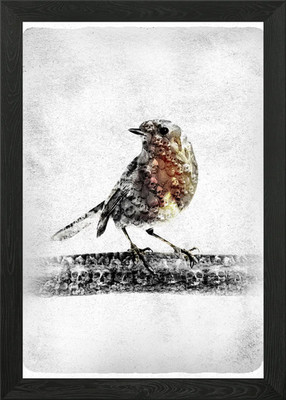 Rotkehlchen gerahmtes Wandbild Poster Leinwanddruck Bild