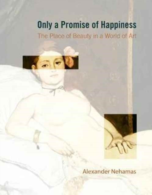 Only a Promise of Happiness by Alexander Nehamas PAPERBACK 9780691177601