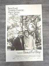 Affiche My Beautiful Boy - Format cinéma - A2