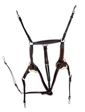 5 Point Brown Leather Elastic Breastplate Running Martingale with Color Padding