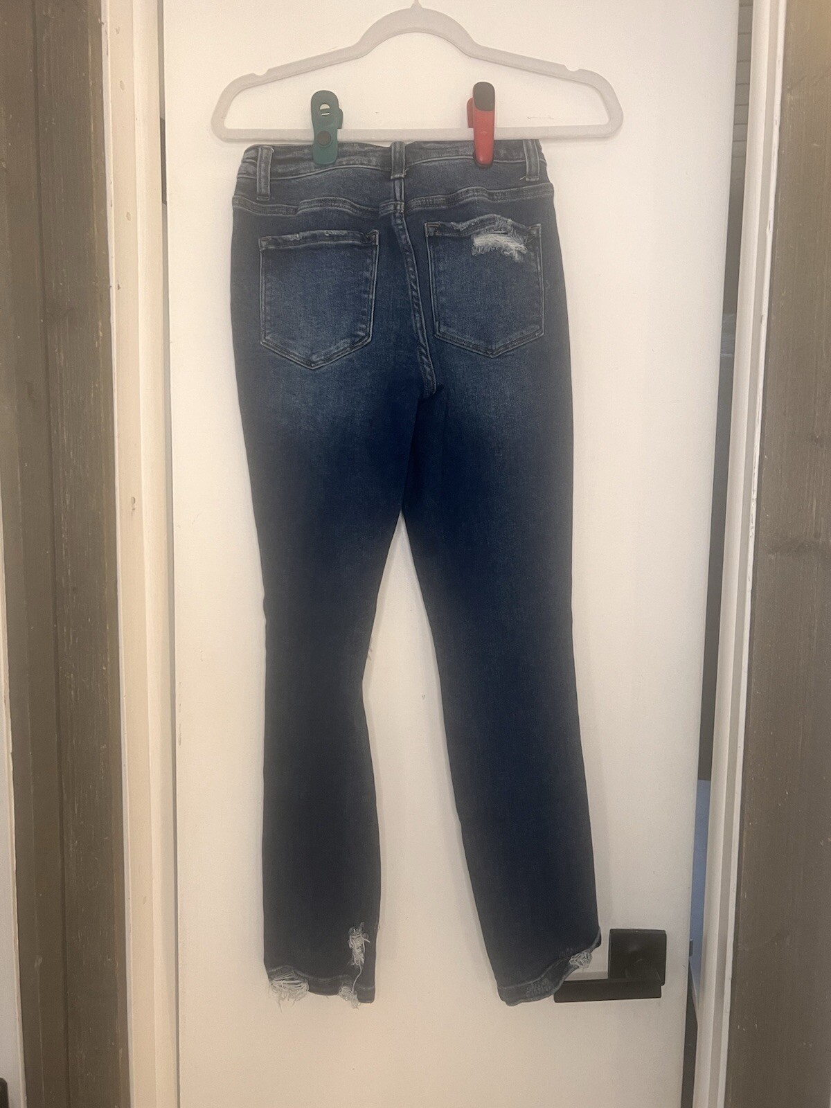 Flying Monkey - image 1