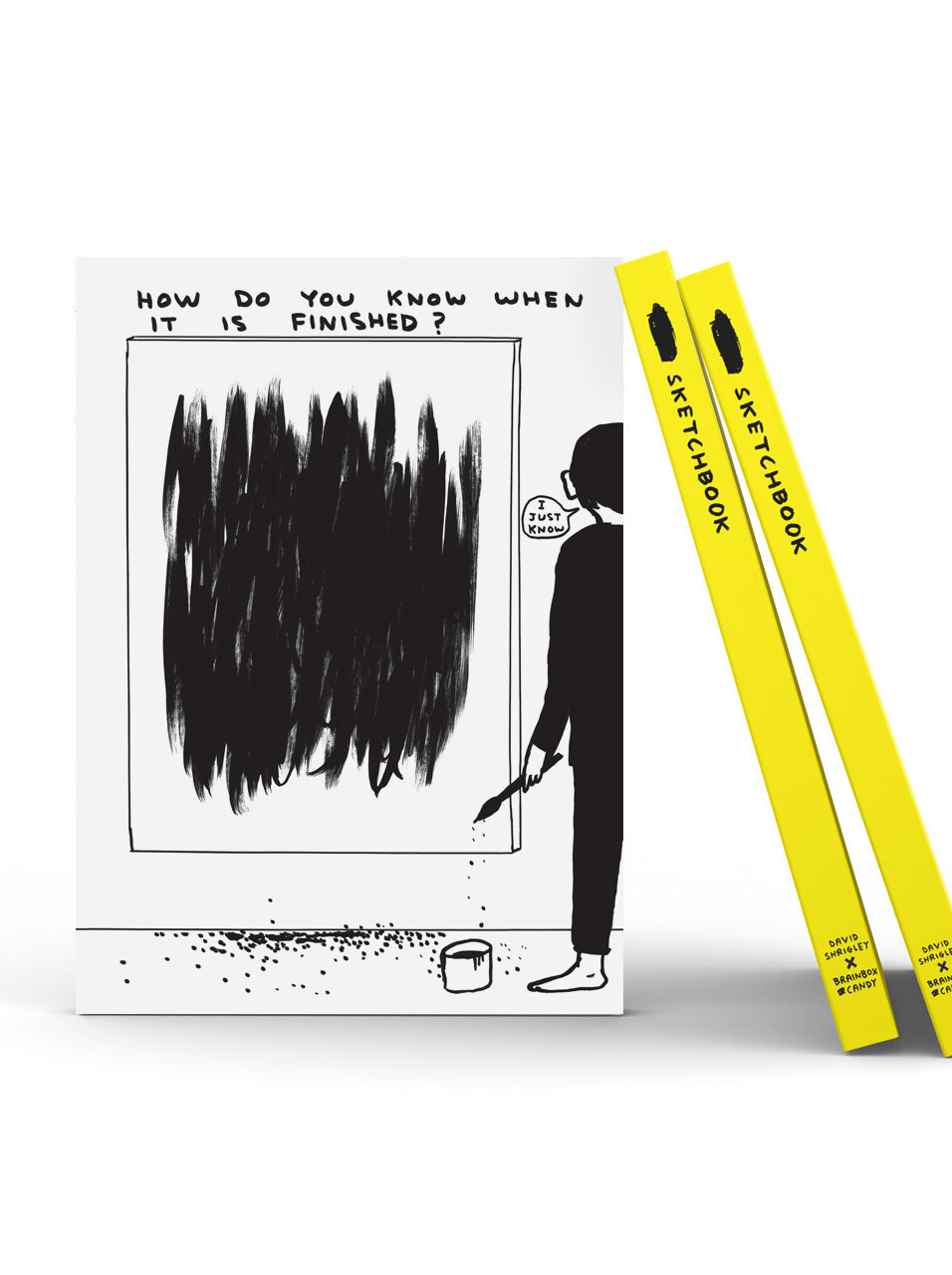 Artist David Shrigley Sketchbook 'How Do You Know' Funny Humour Creative Gift