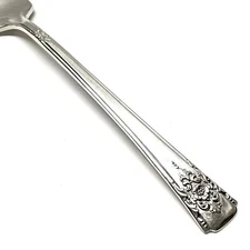 Wm Rogers MOUNTAIN ROSE International Silver Plate 1954 Flatware CHOICE