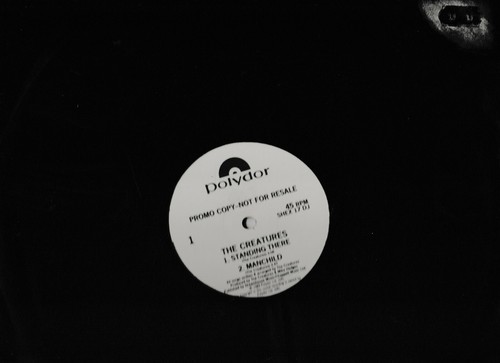 The Creatures- Standing There UK promo 12" vinyl single