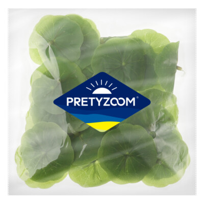 30PCS Artificial Lily Pads Aquarium Leaf Lily Pads Leaves Artificial House