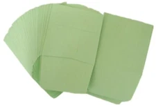 Small Paper Coin Envelopes 2x2 50 Green Color Bags For Collection Flips Sorting