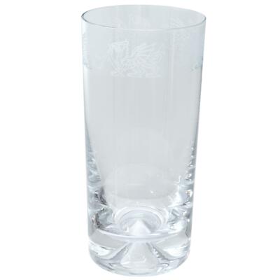 Highball Glass Decorated Welsh Dragon Sandblast Drinking Tumbler Gift Box Animo