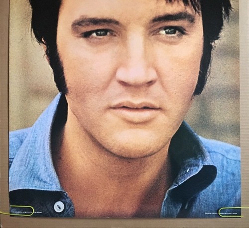 Elvis Presley Original Vintage Poster Pin-up Music Memorabilia Pace Minerva 1981 - 第 4/11 張圖片
